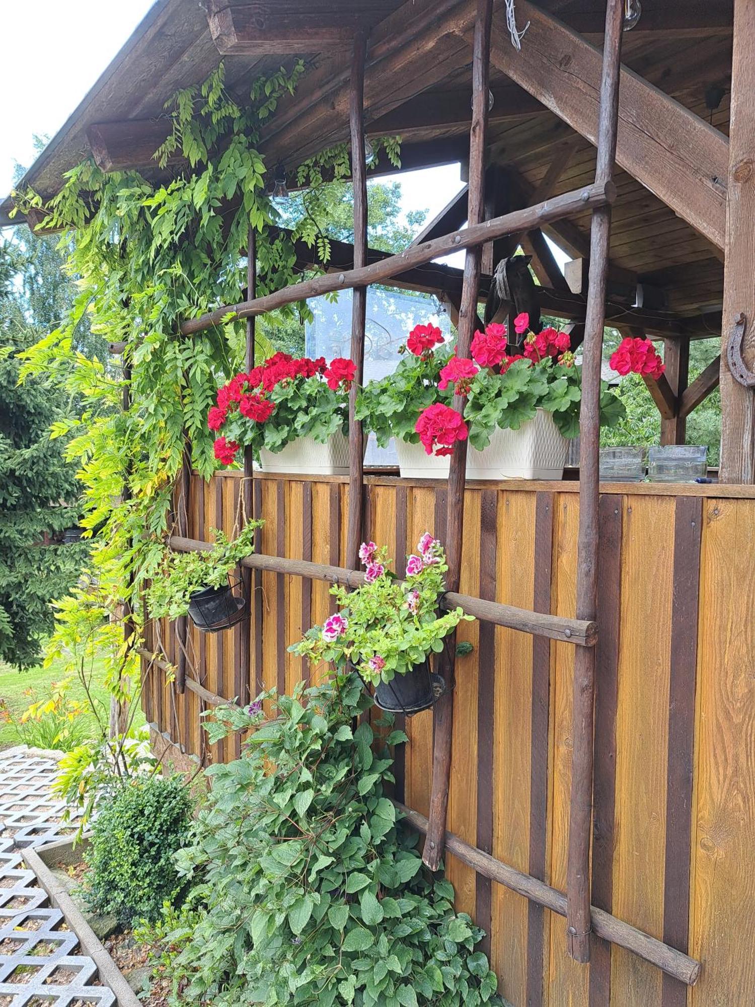 Penzion U Suchanku Mezimesti Bagian luar foto