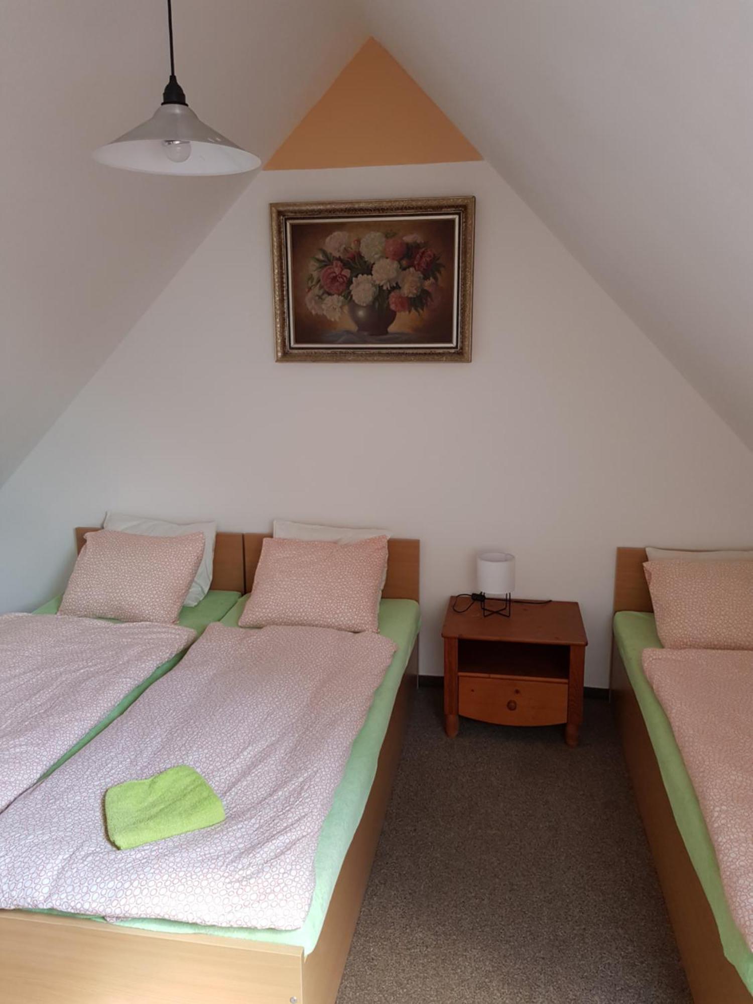 Penzion U Suchanku Mezimesti Bagian luar foto